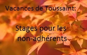 Vacances de Toussaint : stages pour les enfants non-adhérents