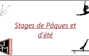 Inscriptions aux stages d' été