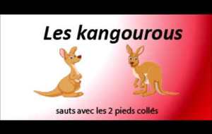 Compilation des animaux ( petite enfance )