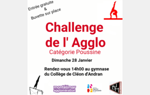 Challenge de l'agglo : compétition Interne de gymnastique