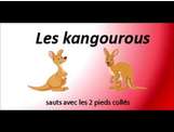 Compilation des animaux ( petite enfance )